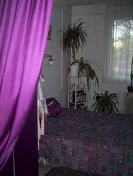Kattintson ide ha t�bb k�pet is l�tni akar az ingatlanr�l!